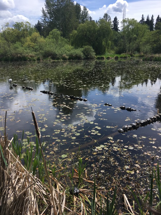 20210508_202819448_iOS