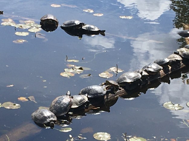 20210508_202842862_iOS