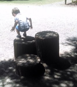 Bridle Trails State Park, Bellevue, WA