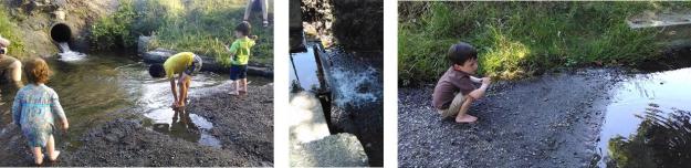 Wading at Everest park in Kirkland, WA