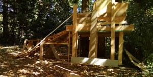 IMG_20150807_111731160