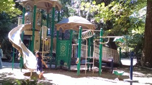 IMG_20150807_111823990