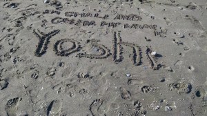 IMG_20150825_091738839