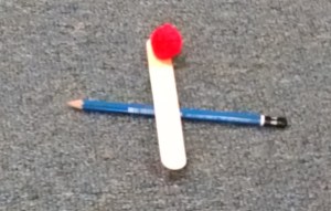 IMG_20151003_094219761