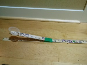 IMG_20151005_135555240