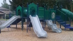 IMG_20160608_143209159