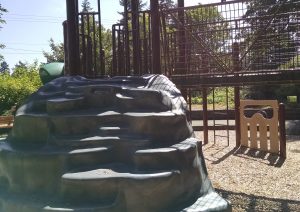 IMG_20160628_111331693