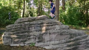 IMG_20160628_112805730