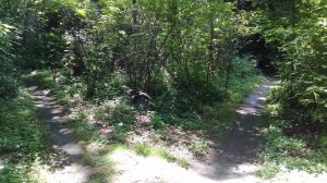 IMG_20160628_114118117