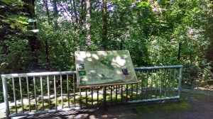 IMG_20160628_114126484_HDR