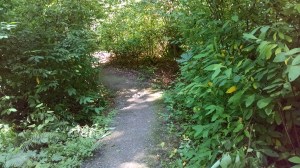 IMG_20160628_114151699