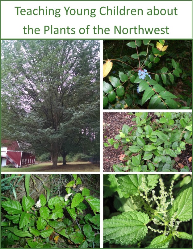 nw-plants