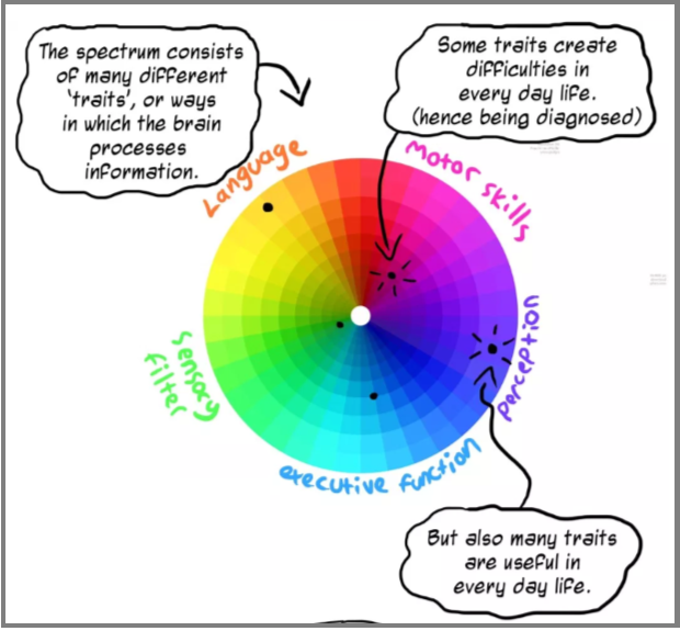 An illustration of a circle where the "pie pieces" are labeled language, executive function, etc. and dots indicate where the person might have more strengths vs. more difficulties