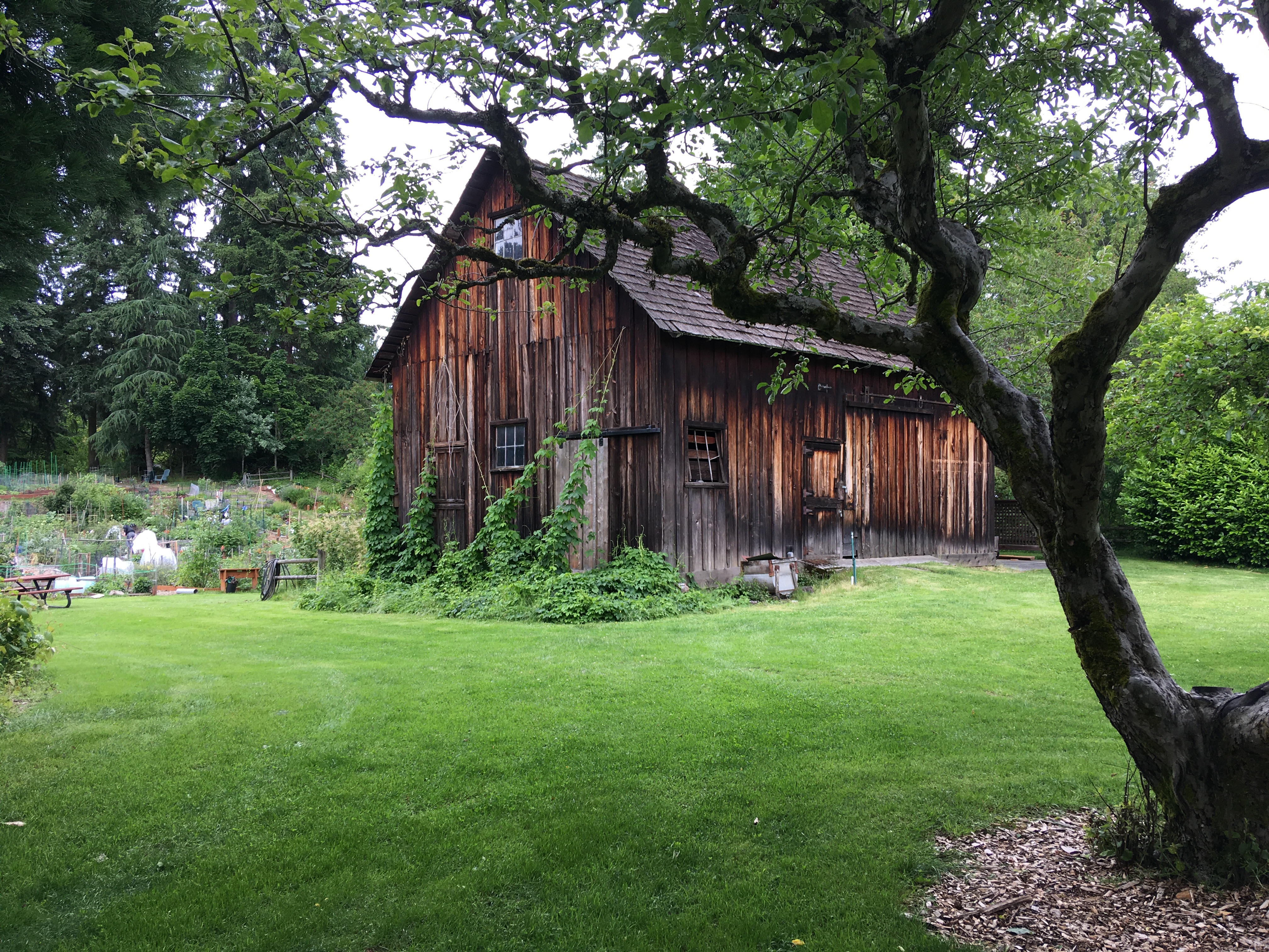 20200614_221255502_iOS